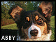 Verča & Abby